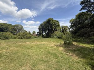 Photo 41- click for photo gallery